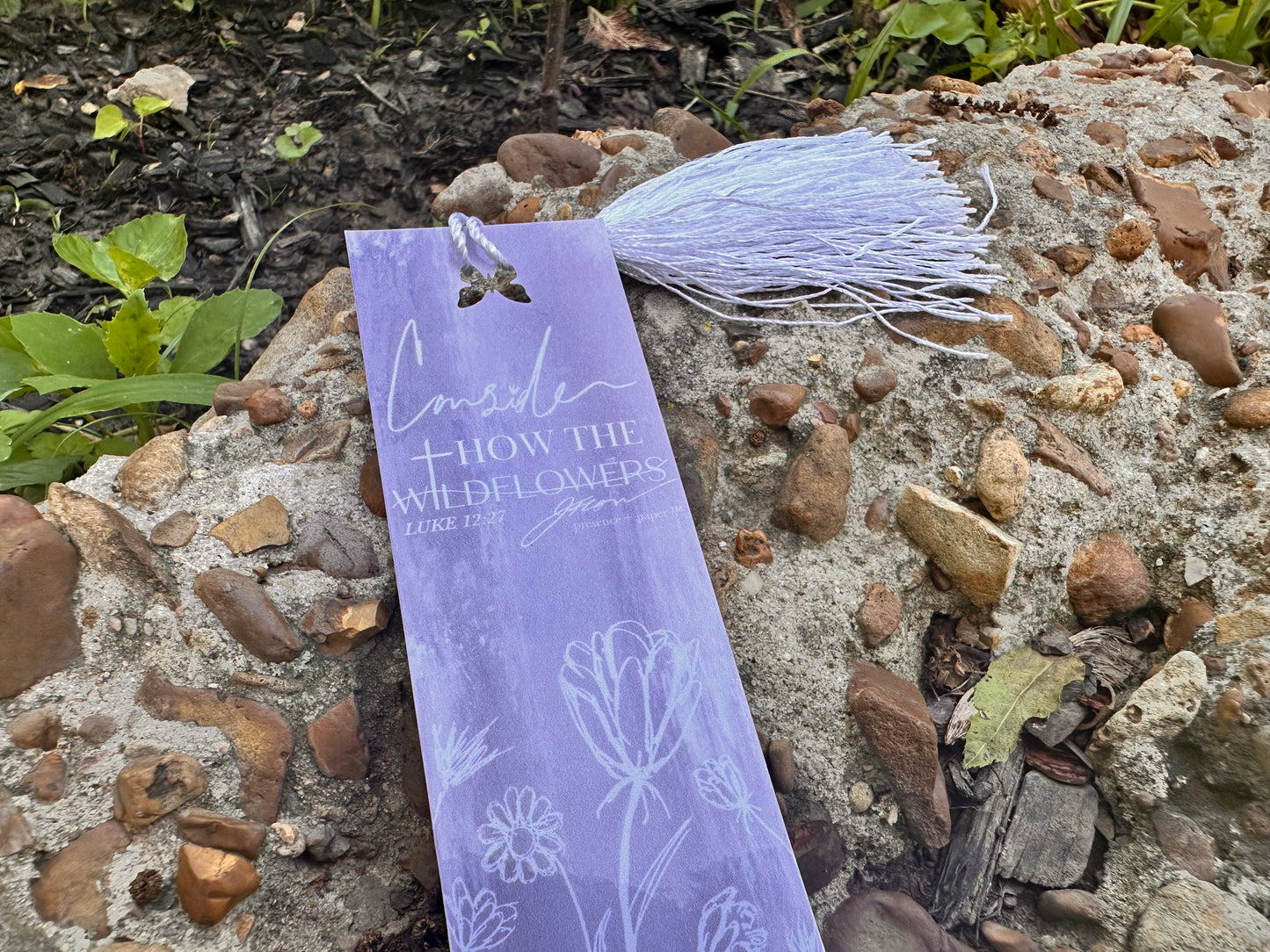 Wildflowers Luke 12:27 | Bookmark