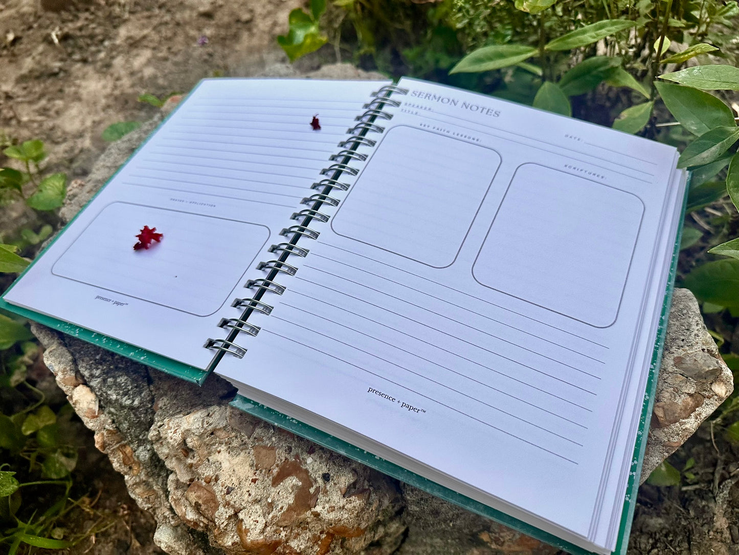 SALT | Sermon Notes Extended Version