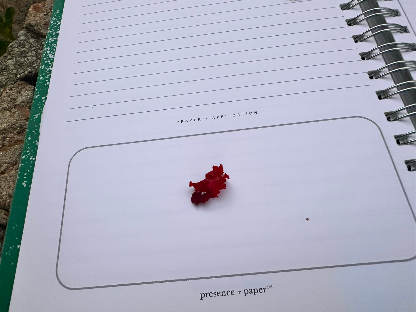 SALT | Sermon Notes Extended Version